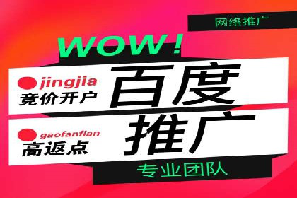 信息流广告的投放策略与效果监测：某零售商的成功经验